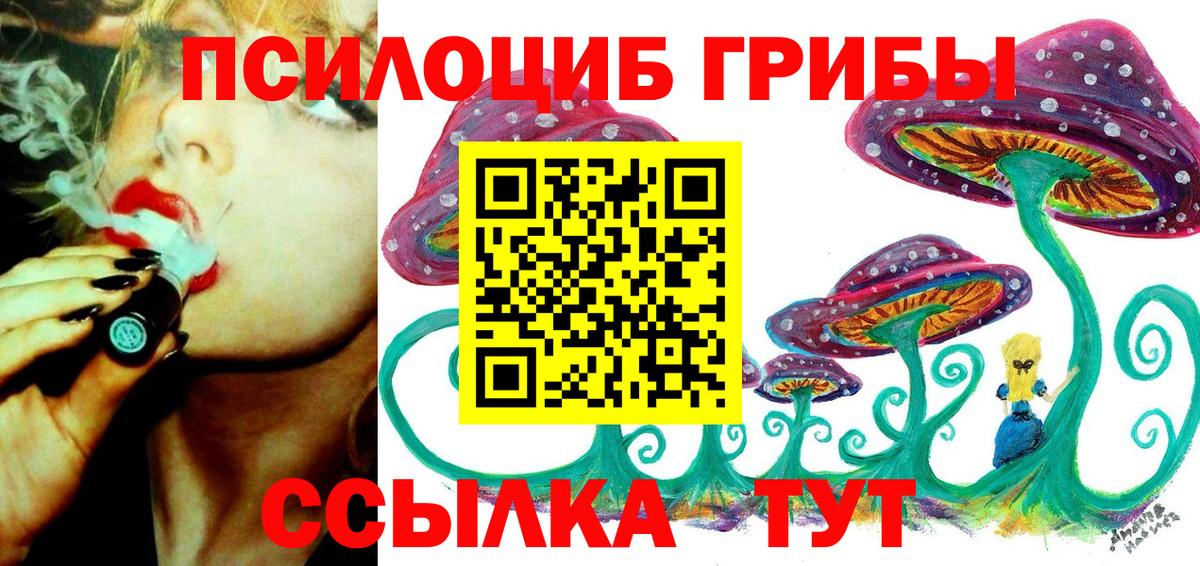 Галлюциногенные грибы мухоморы  Галлюциногенные грибы Psilocybine cubensis  Верхняя Пышма  Вход с VPN 