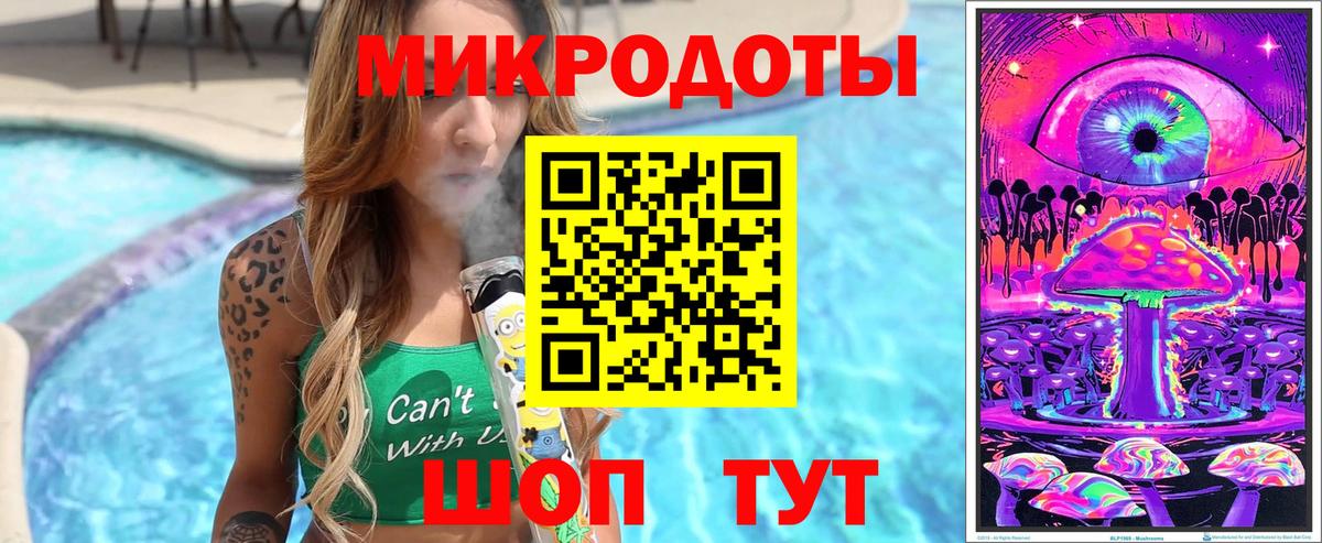 Галлюциногенные грибы Psilocybe Верхняя Пышма